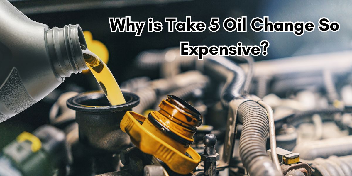 Why is Take 5 Oil Change So Expensive