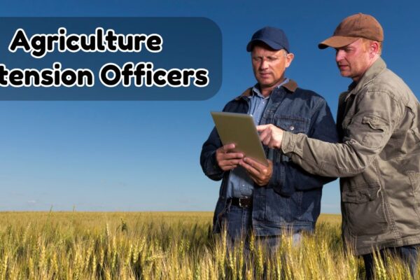 Agriculture Extension Officers