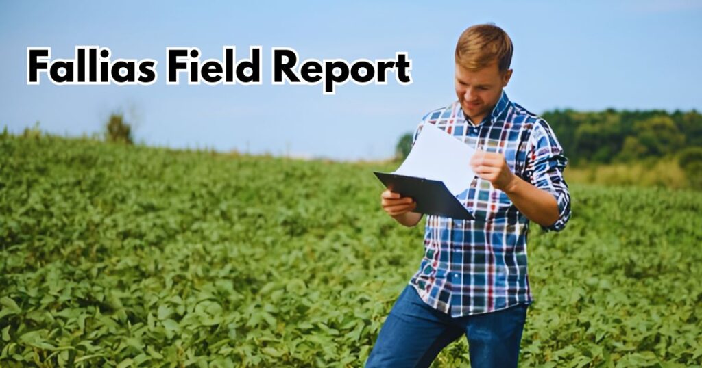 Fallias Field Report