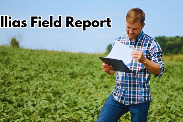 Fallias Field Report