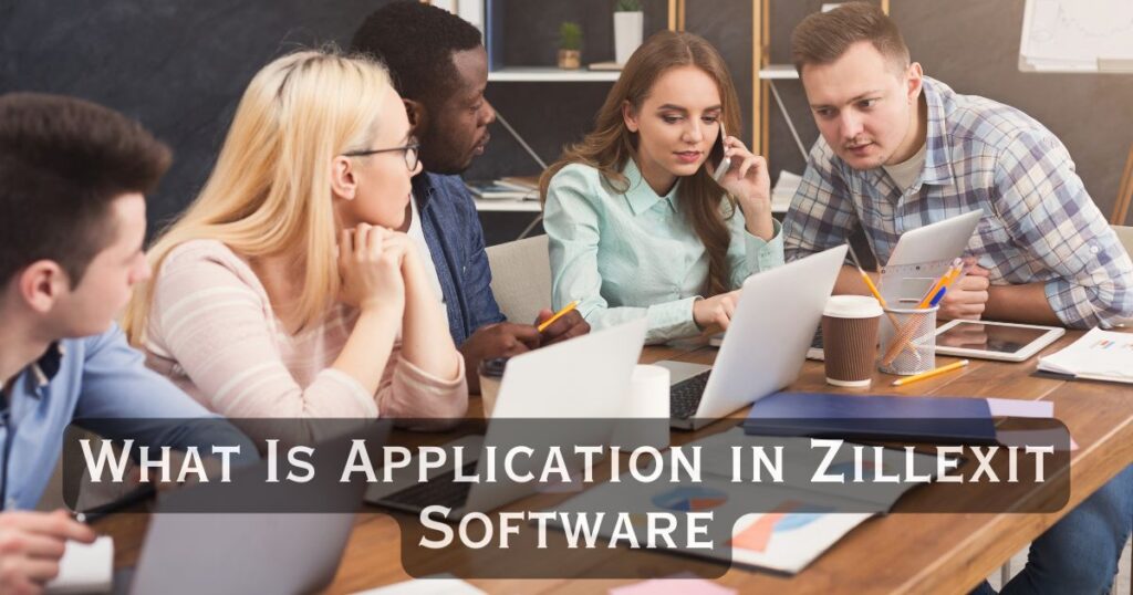 What Is Application in Zillexit Software