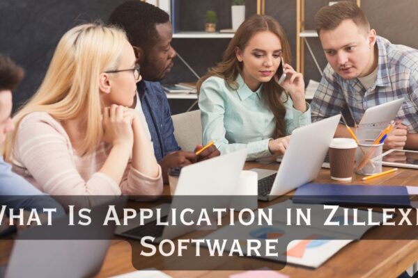 What Is Application in Zillexit Software