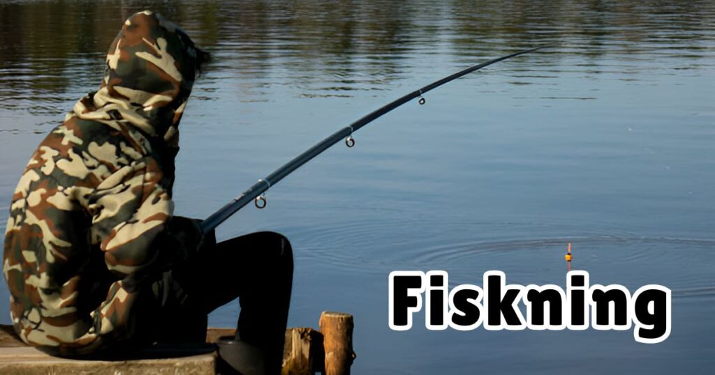 fiskning