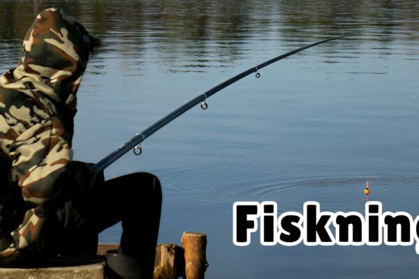 fiskning