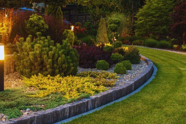 Always Green Landscaping Changing Your Open-air Spaces with Master Grass Upkeep and Scene Plan