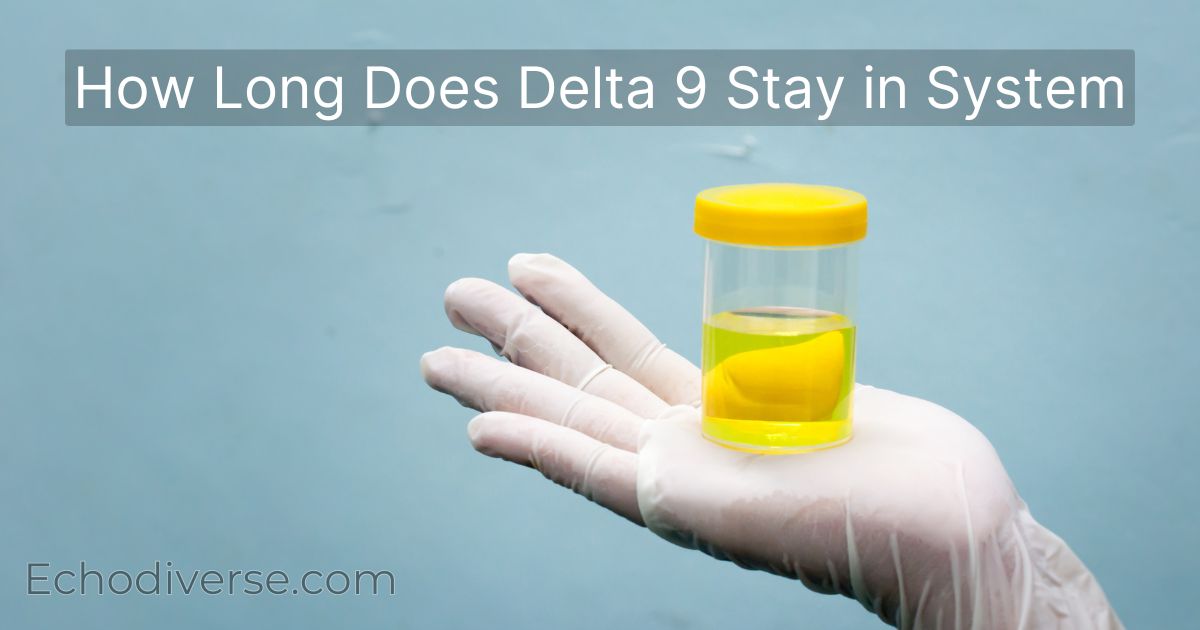 How Long Does Delta 9 Stay in System