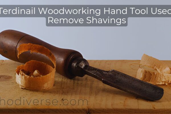 a Terdinail Woodworking Hand Tool Used to Remove Shavings