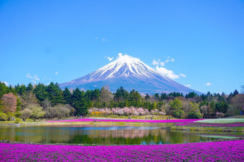 mount fuji ice cave near sucide forest narusawa mura